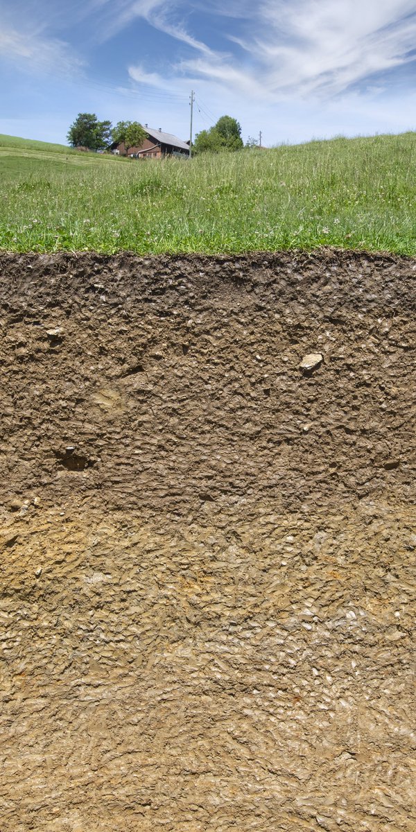 SoilScienceCH's tweet photo. À l’occasion de la #journéemondialedessols du 5 décembre 2021, la SSP désigne le #SolArgileux comme #soldelannée2022. Les sols argileux sont majoritairement constitués de particules minérales micrométriques (minéraux argileux). #soldelannee https://t.co/c9gU9fuUd9