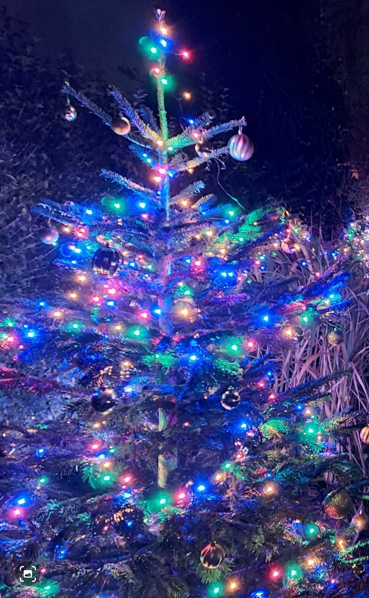 Belvoir Castle Garden Show tweet media