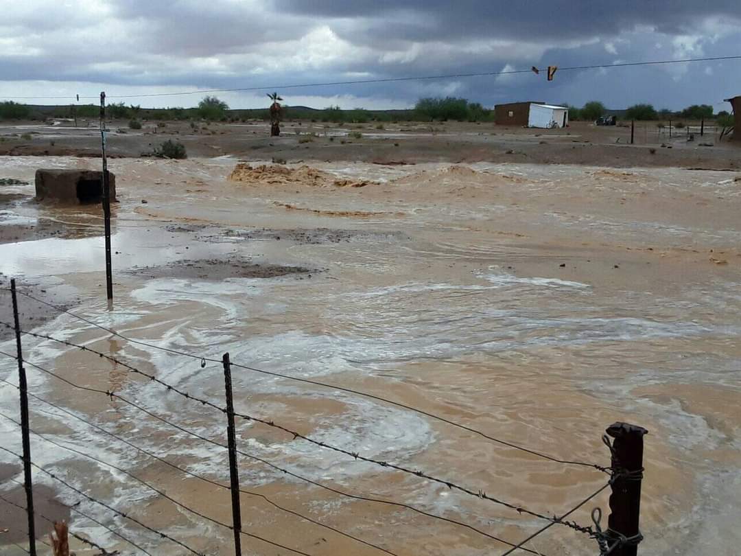 ReenvalIn's tweet photo. Zwartkop Verneukpan Northern Cape, beautiful scene to see much needed rain 📸 Jasli-An Pieters @afriwx @VoxWeatherZa @JoelGuy_ @Amorersg @zarsg @SAWeatherServic @AfricaWeather_ @maroelamedia @SABreakingNews @TrafficSA https://t.co/qxeOFtkOy2