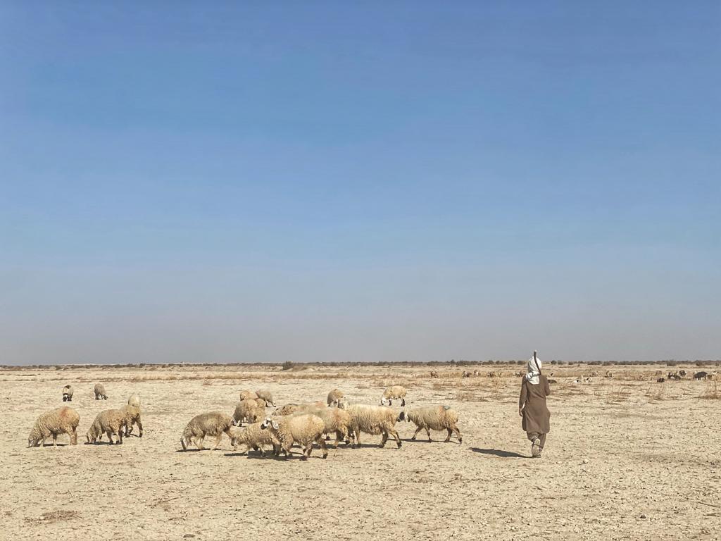 UNDPIran's tweet photo. 1/2 “#Hamoun is our heart & our life.” These words were shared by the local community during our recent mission to Sistan & Baluchestan w/ H.E. Ambassador of @SKoreainTehran. We exchanged views w/ authorities & the local community on effects of climate change & #water management. https://t.co/xXzBkE5k6D