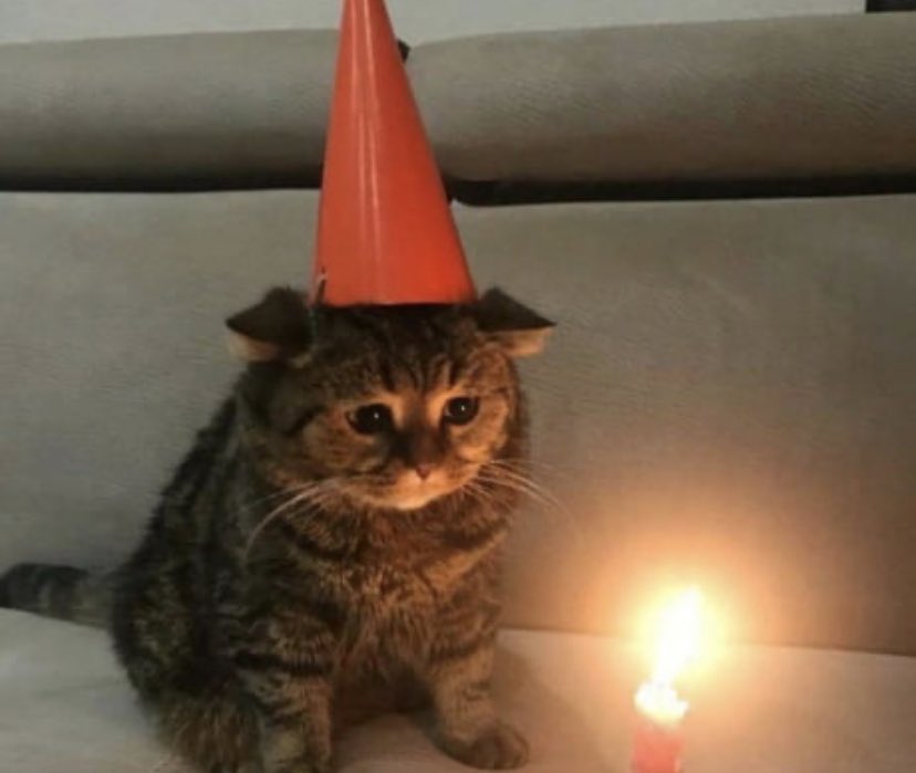 Sasa 😈 tweet media