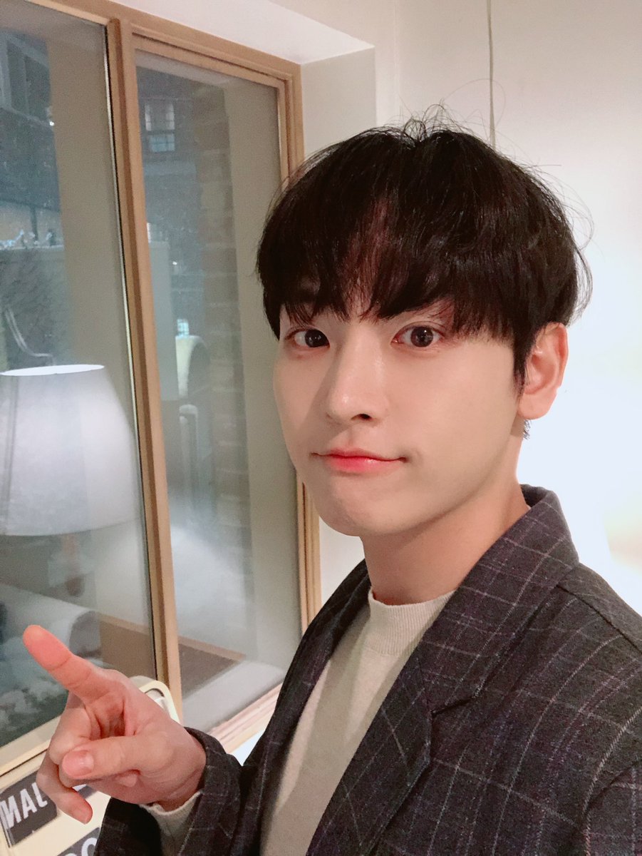 밤비 tweet media