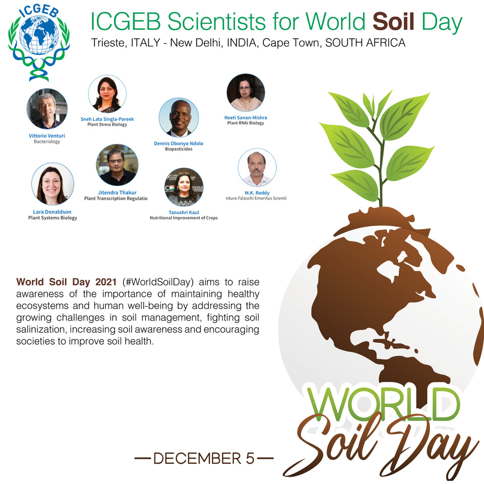 ICGEB for #WorldSoilDay #Scientists who work on improving #soil health
#soilday 2021