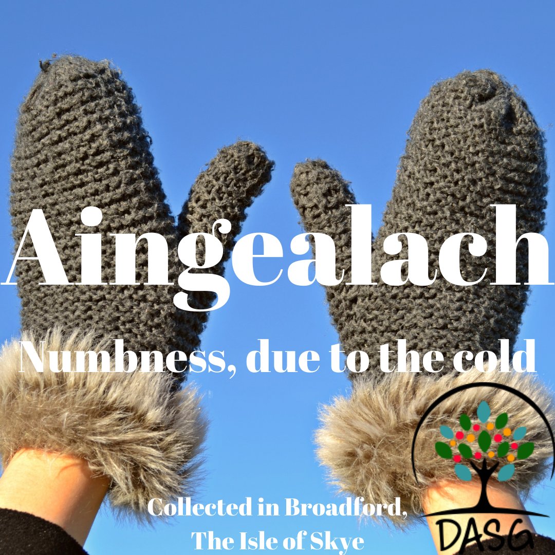 DASG_Glaschu's tweet photo. https://t.co/QCoE7YhRfb
😰
AINGEALACH - NUMBNESS, DUE TO THE COLD
🖐️
#aingealach #balbh #numb #fuar #reòite #fuachd #cold #frozen #coldness
❄️
#AntAthLeathann #Broadford #AntEileanSgitheanach #TheIsleofSkye
#DigitalArchiveofScottishGaelic #DASG https://t.co/6GUBW8VNC7