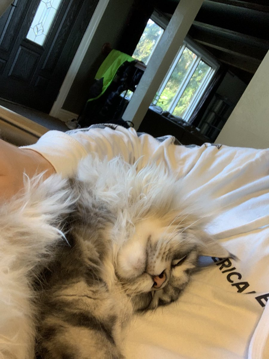 twifyee's tweet image. Love my cat! 🥺