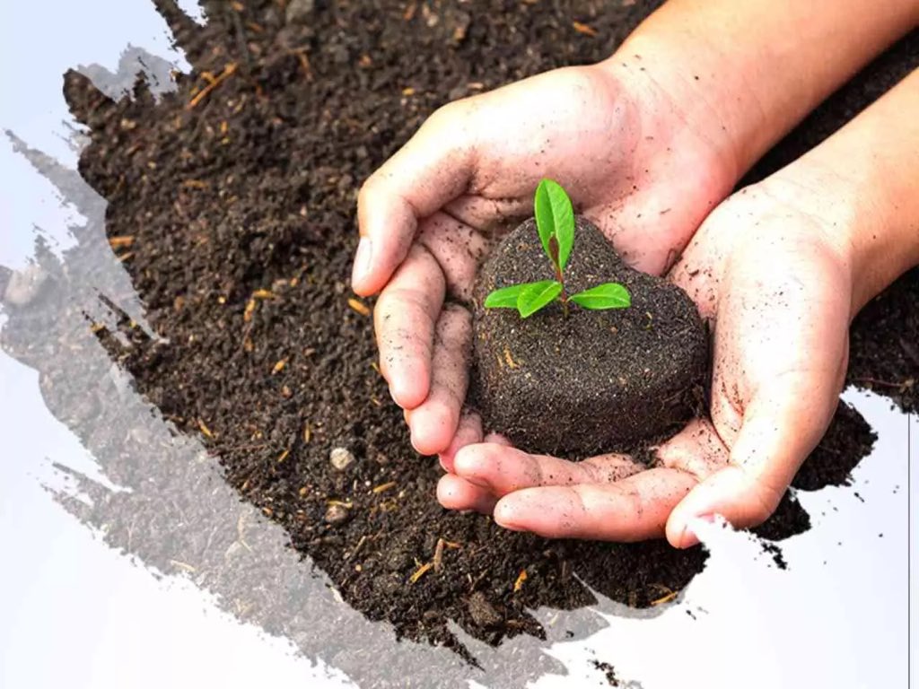 Halt soil salinization, enhance soil production. Happy #WorldSoilDay  to all.