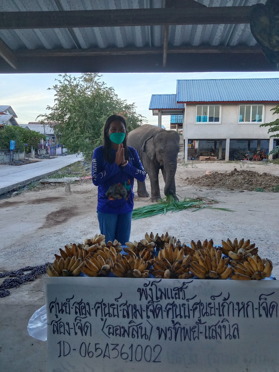 พรทิพย์ แสงนิล (พังโมแฮร์) tweet media