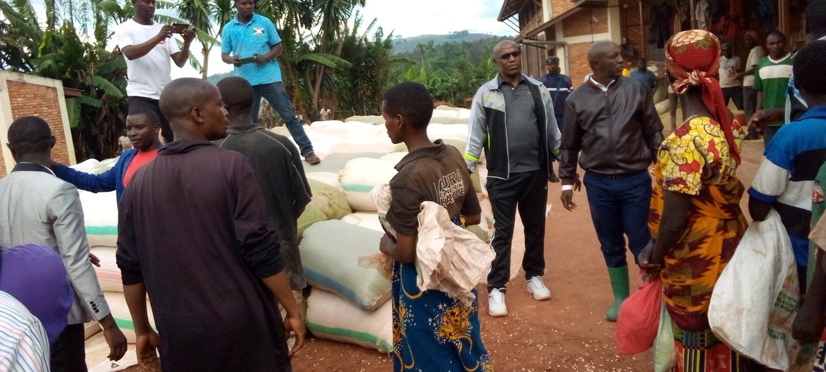 CommuneKiremba's tweet photo. Commune KIREMBA, distribution de 117 T du maïs à 7498 ménages victimes des dégats causés par les pluies pluies torrentielles mêlées de la grêle ayant dévoré tous les champs de cultures en date du 25/11/2021. Soutien du Gouvernement a la population https://t.co/333TqEI0AF