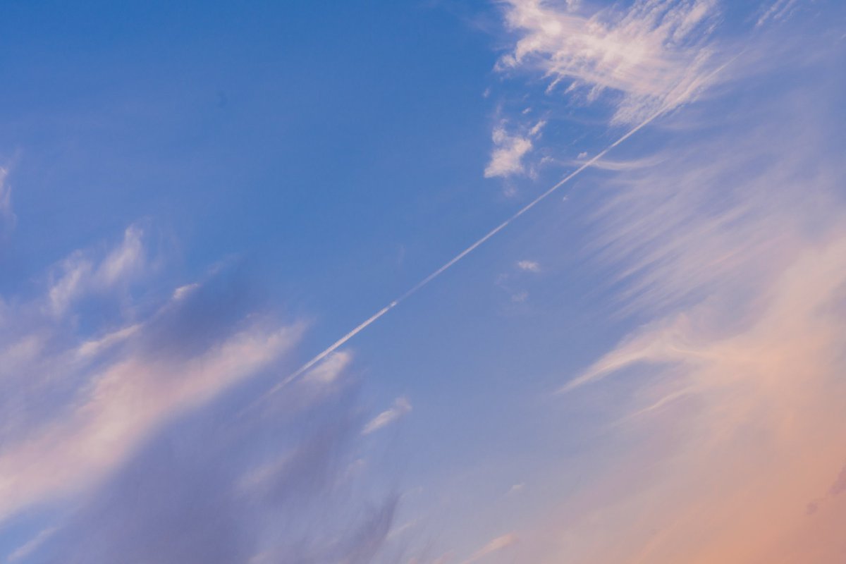 Akine Coco tweet media