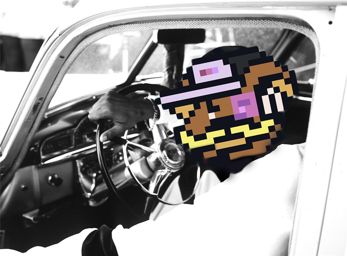simaleksic_'s tweet photo. @bears_deluxe @SnoopDogg @CozomoMedici @garyvee pimpin' through the hives rn. #honeyD #doDoubleG #pimp #deluxe #bears #gang #activities RT lets reach out #snoop #doggy #dogg https://t.co/WnsqzkcOTD