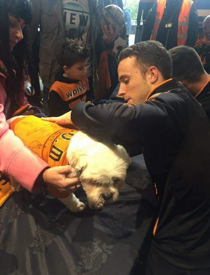 Parsley Meek tweet media