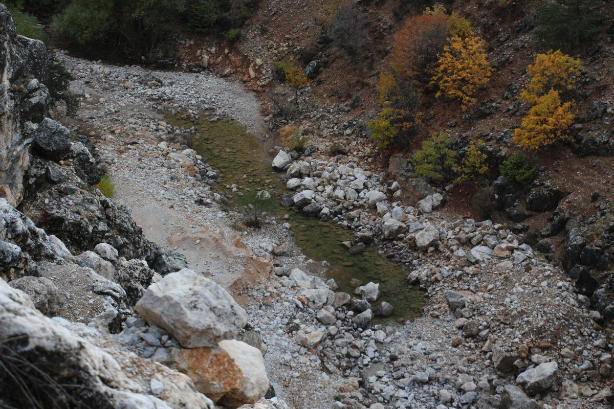 <a href="/EkolojiR/">Ekoloji Radarı</a> <a href="/kazdaglariist/">Kazdağları İstanbul Dayanışması</a> <a href="/BeykozKentDayan/">Beykoz Kent Dayanışması</a> <a href="/Bahceshr_Golet/">Bahçeşehir Gölet Gönüllüleri</a> @thurkun_kara <a href="/gonultol/">Gönül Tol</a> <a href="/HudaKaya777/">Hüda Kaya</a> <a href="/Basaranaksu_/">Başaran Aksu</a> <a href="/idef_ikizderere/">İDEF İkizdere Dernekler Federasyonu</a> <a href="/alper_tas/">Alper Taş</a> <a href="/orhanaydin6/">orhan aydın</a> Bu dere can suyu bırakılmış bir dere. ‘Kırmızı Benekli Alabalık’ bu derede yaşabiliyor ve üreyebiliyormuş ! #NurhakHesleriİstemiyor. #HeslereHayır