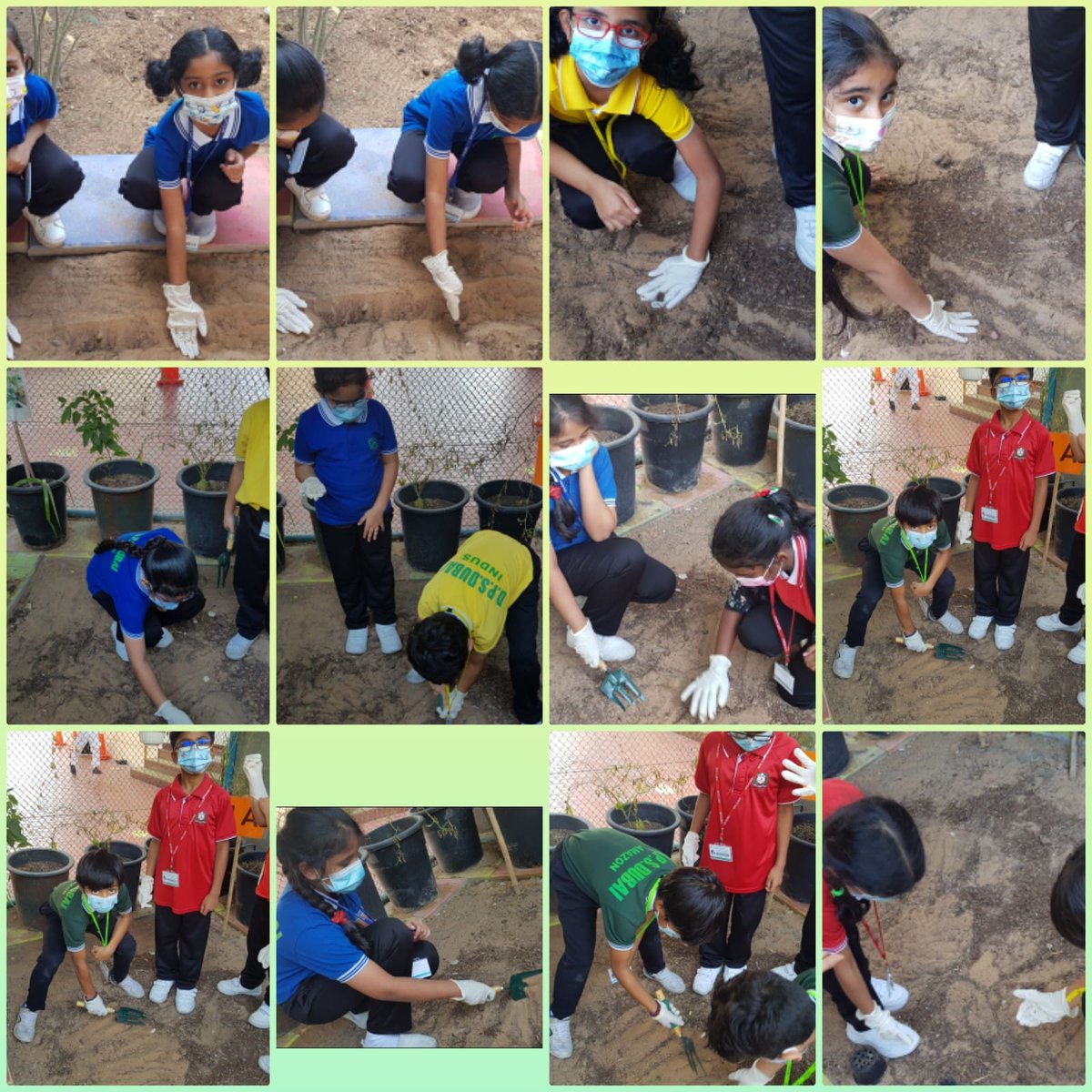 DpsDubai2's tweet photo. To plant a garden is to believe in tomorrow. Catch students of Grades I and II exploring the Kitchen Garden together. @KHDA @DEWAofficial #ConservationAward https://t.co/8HE0wdjeBn