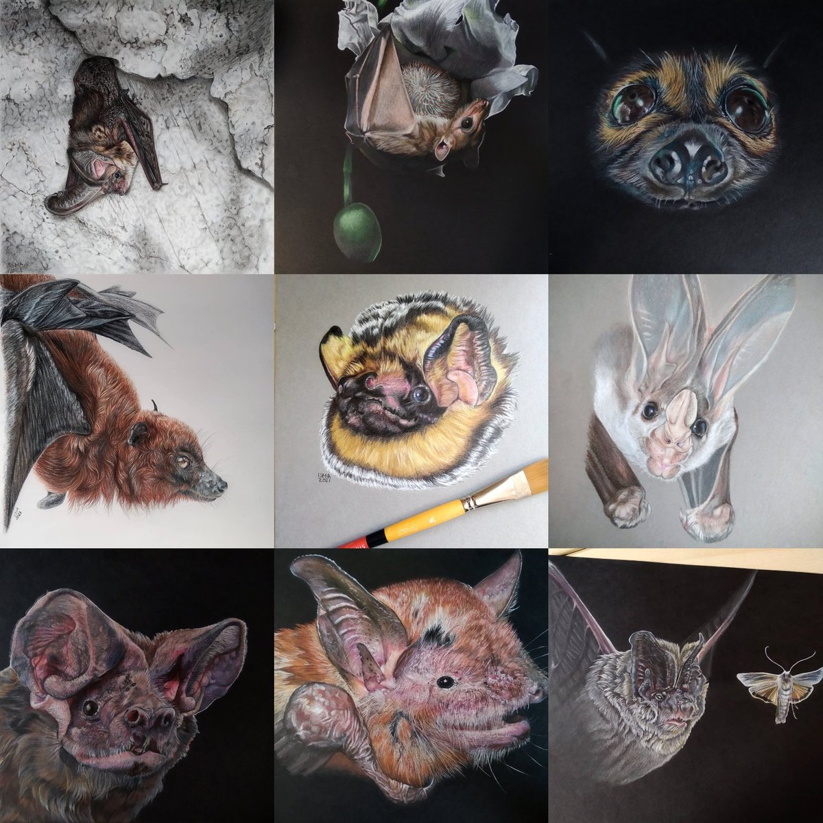 LittleLeapers_'s tweet photo. A group of bats is called a colony.
Here is a collection of (nearly) all the bats I drew in 2021.❤️
Do you have a favourite? https://t.co/mc7vjGN1LG
