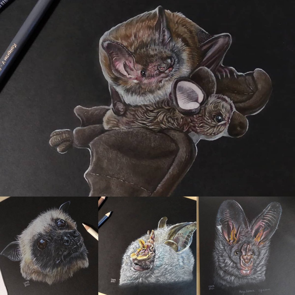 LittleLeapers_'s tweet photo. A group of bats is called a colony.
Here is a collection of (nearly) all the bats I drew in 2021.❤️
Do you have a favourite? https://t.co/mc7vjGN1LG