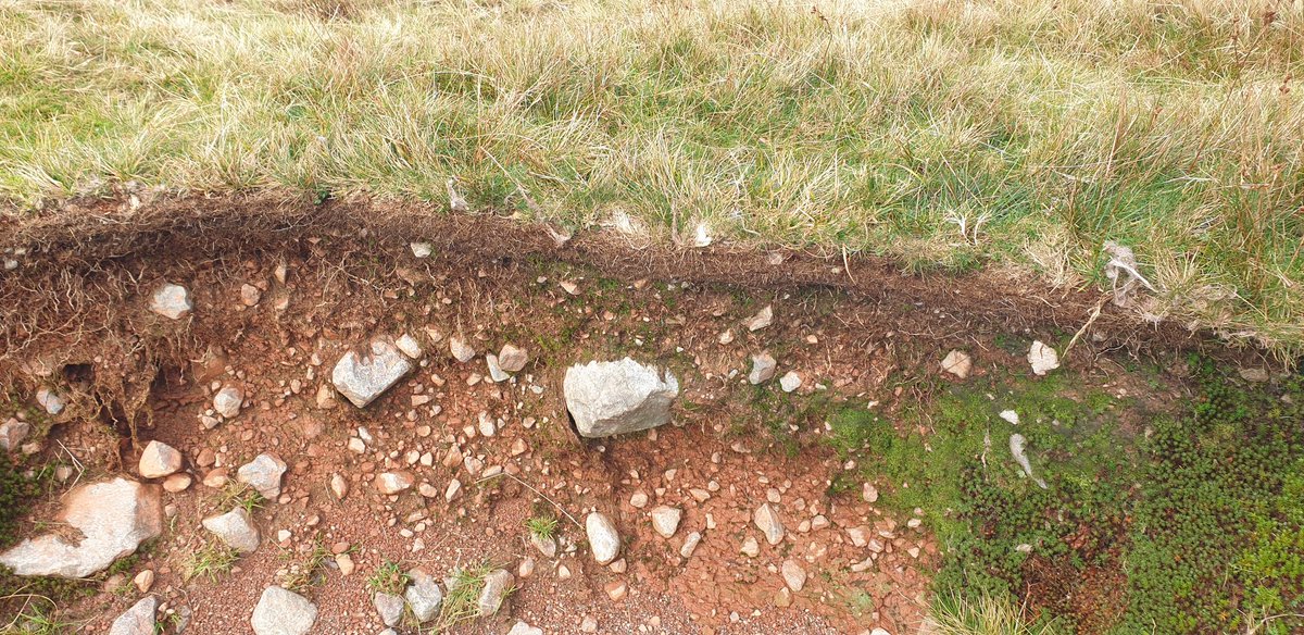 PhilHaygarth's tweet photo. Happy #WorldSoilDay a  celebration of #soil the hidden gold that drives our lives https://t.co/AOEcM2OvQN