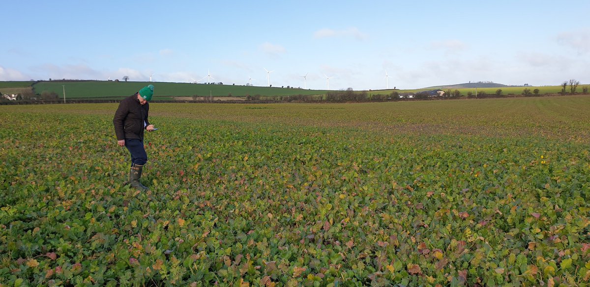 PhilHaygarth's tweet photo. Happy #WorldSoilDay a  celebration of #soil the hidden gold that drives our lives https://t.co/AOEcM2OvQN