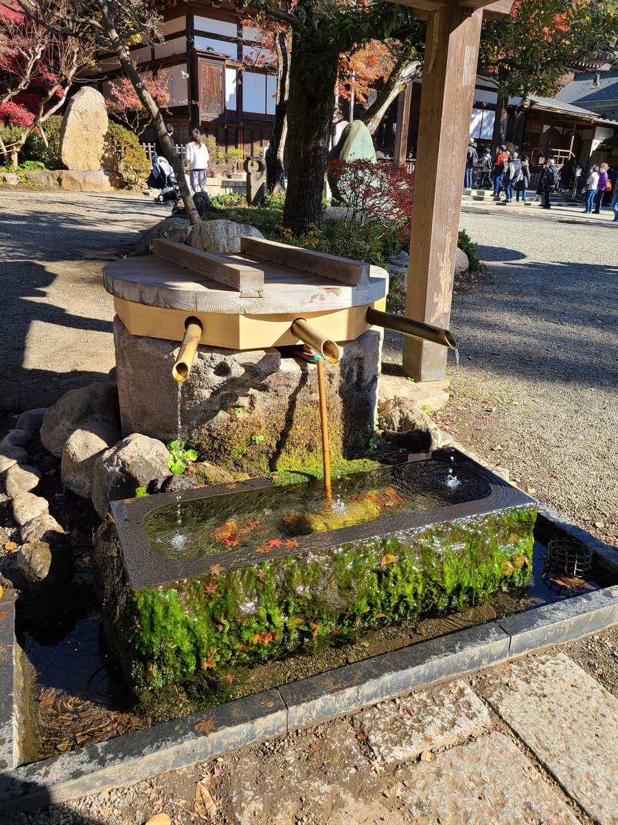 ムーンライト シャドウ ロケ地 撮影秘話 最新情報まとめ みんなの評価 レビューが見れる ナウティスモーション ムーンライト シャドウ ロケ地 撮影秘話 最新情報まとめ みんなの評価 レビューが見れる ナウティスモーション