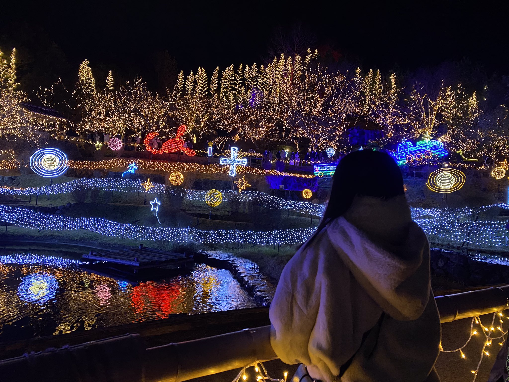Rinoa 50天 備北丘陵公園のイルミネーションめっちゃ綺麗だった 花火も 50天 Idol アイドル 広島 Hiroshima 備北丘陵公園 イルミネーション 花火 T Co 6snm93no0s Twitter