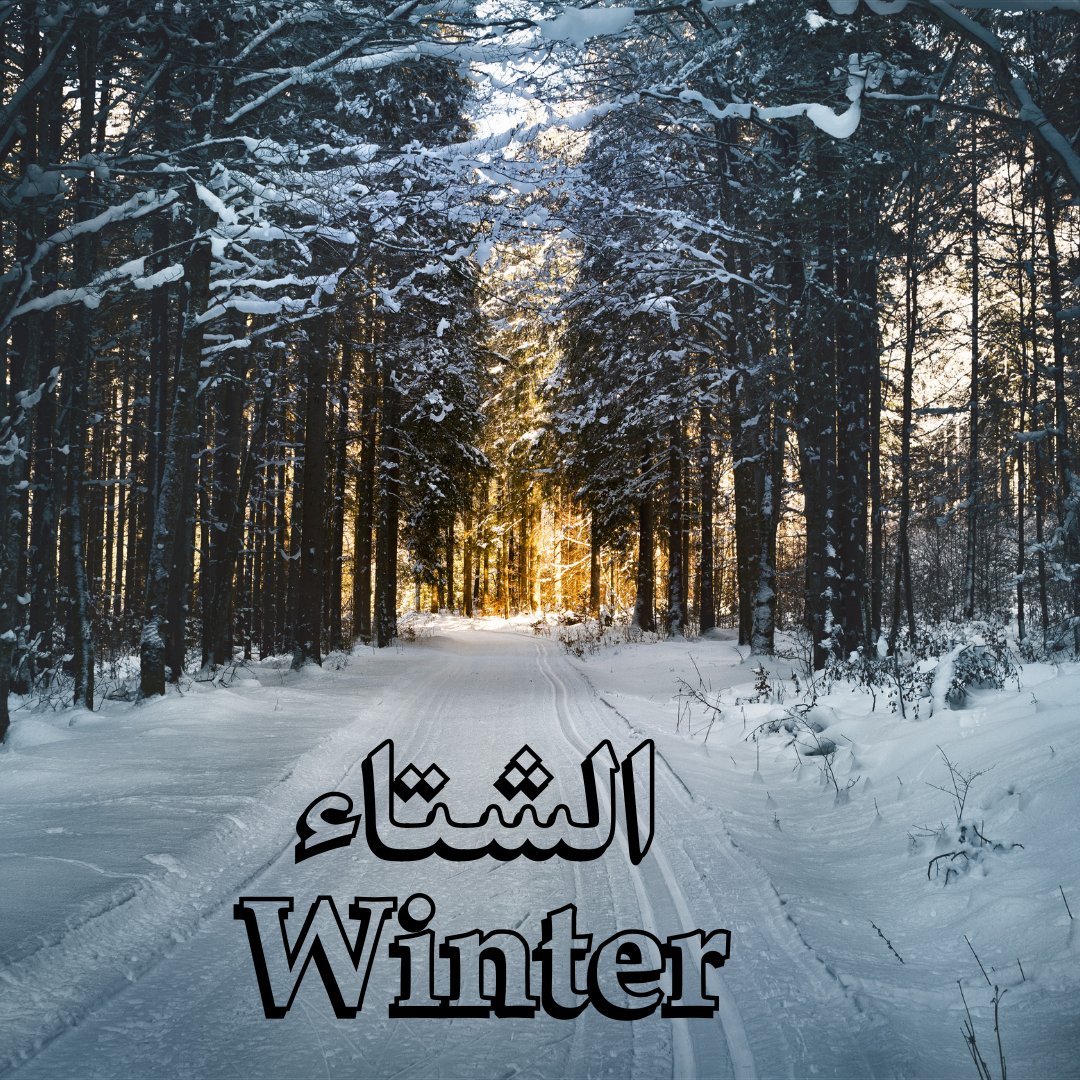 EnglishTutorUSA's tweet photo. ☃️☀️💐🍁 فصول السنة 
What is your favorite season?

#season #english #arabic #learningenglish
#تعليم_انجليزي #تعليم #انجليزي_مبسط #انجليزي https://t.co/KlRFtxYBr6