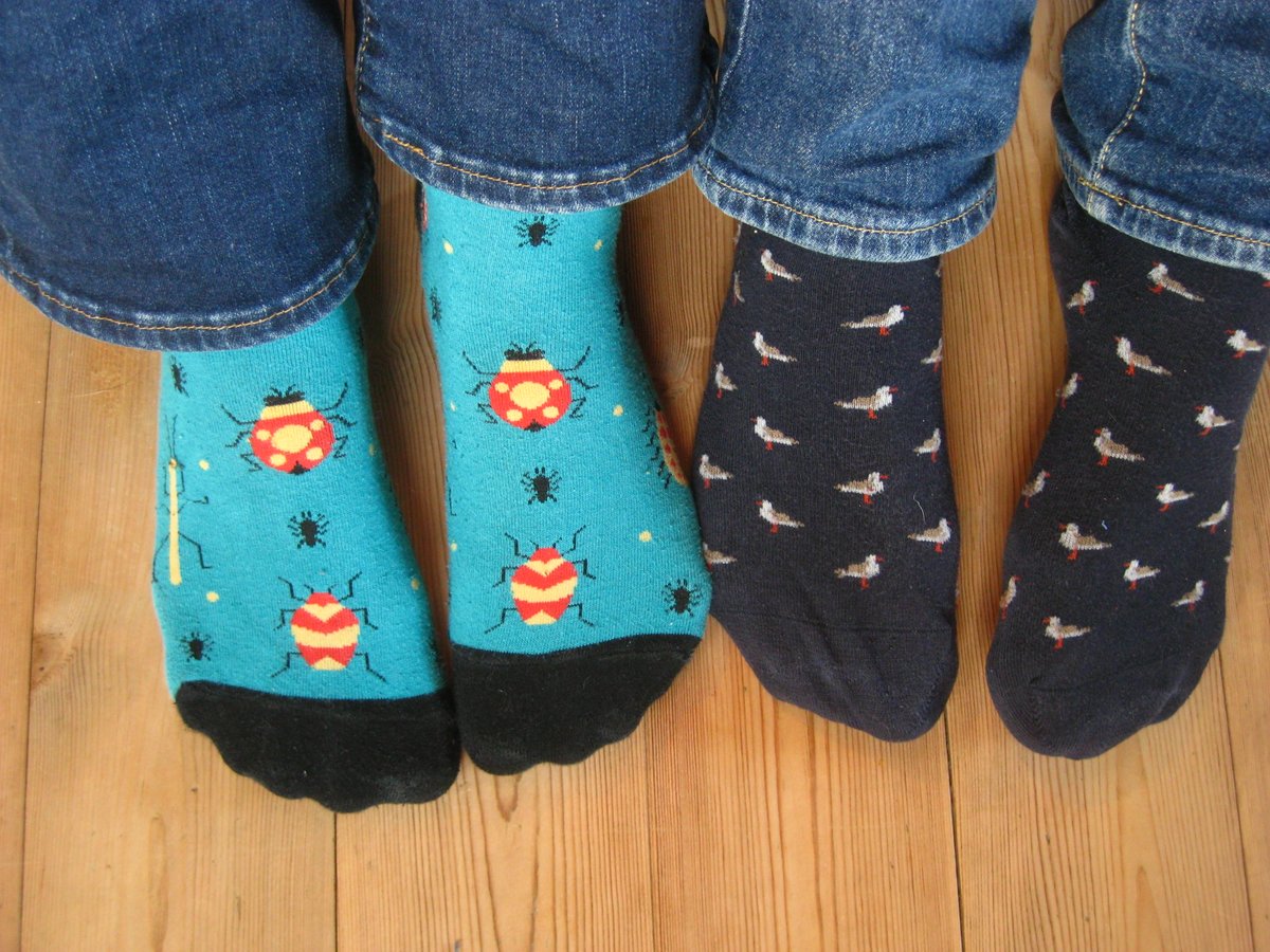 AgnesKreiling's tweet photo. One #entomologist and one #ornithologist in the house! Guess who's who?
#entosocks @LeivurJanus https://t.co/E4mGAPXSLs
