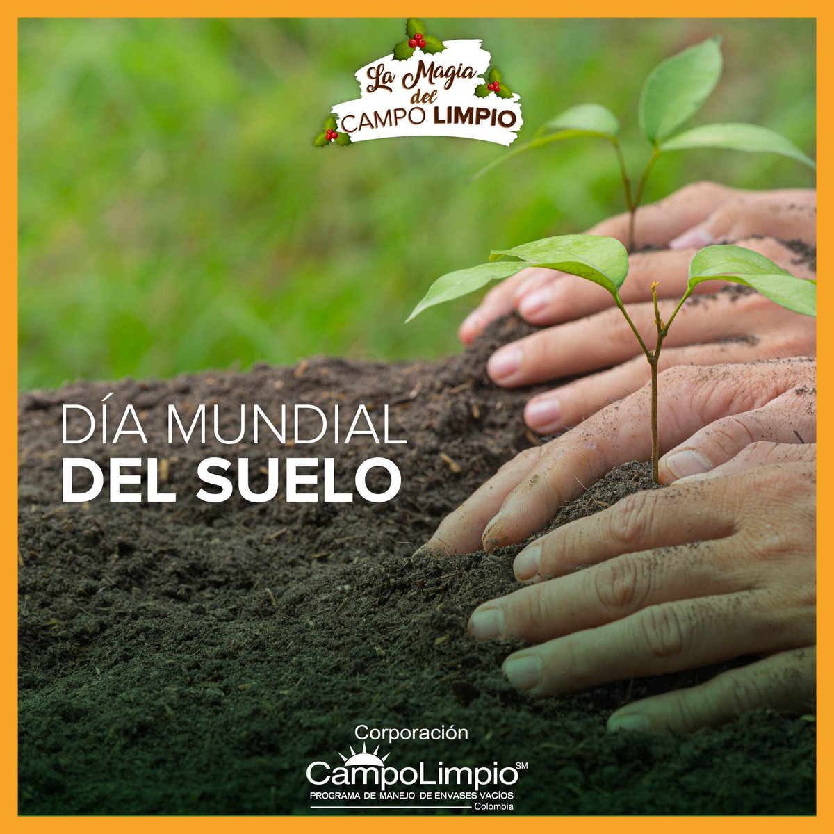 CampoLimpioCo's tweet photo. 🍃¡Cuidemos lo que nos sostiene! Protejamos el suelo que nos brinda el alimento diario. 👉🏻 En Campo Limpio celebramos el #DíaMundialDelSuelo sembremos un árbol 🌳 , reguemos las plantas 🪴 , retiremos desechos del suelo y utilicemos productos que cuiden nuestro medio ambiente ♻️ https://t.co/RUa0usyZuV