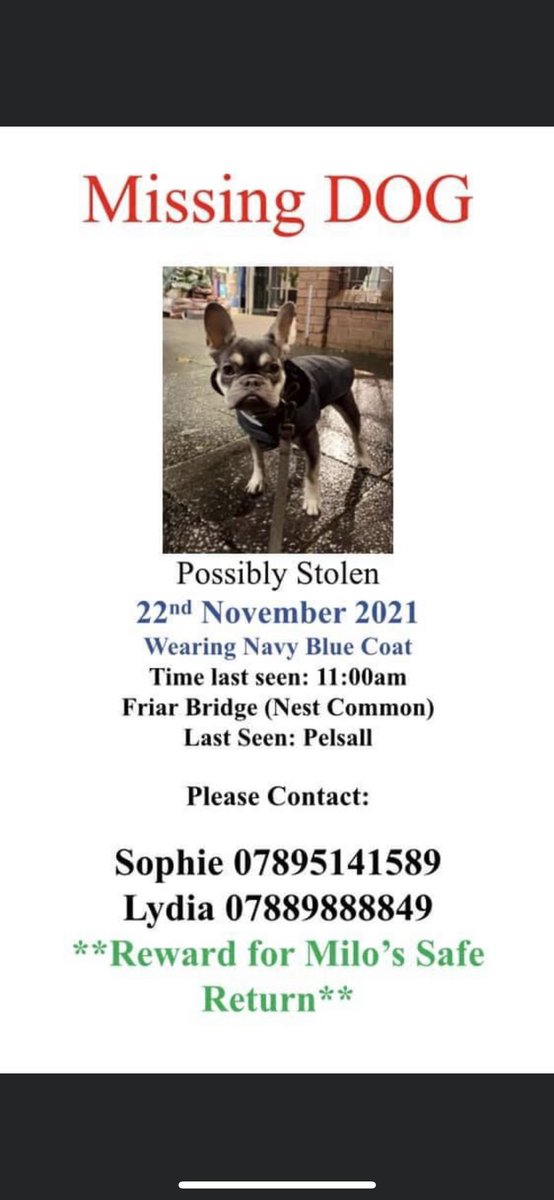 SarahWhe78's tweet photo. Please keep this going guys, don’t give up on Milo 🥺 #stolendog #frenchbulldog # Milosarmy #bringmilohome #help https://t.co/jxVPPDP7Bf