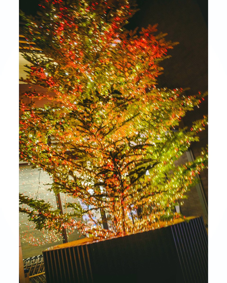 set_953's tweet photo. 12月の夜
なんだか ワクワク ウキウキ セカセカ って感じです… 😬
#12月の夜
#Decembernight
#スナップ写真
#snapshot
#streetsnap
#YSS日常フォトコン
#写真好きな人と繋がりたい
#ファインダー越しの私の世界
#キリトリノセカイ
#京都
#そうだ京都行こう
#x100v
#富士フイルム https://t.co/8S1Nqq6COD