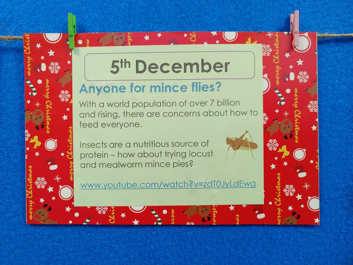 Science_CHS's tweet image. #scienceadvent today here&apos;s a question, let us know your opinion on eating insects! #WeAreCalder #science
