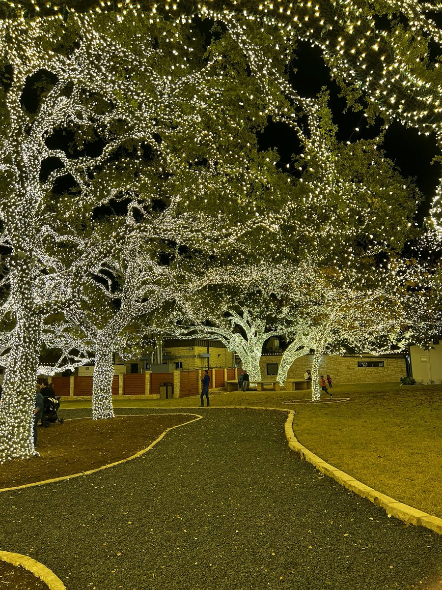 DrJonelle's tweet photo. Christmas season in TX https://t.co/EgyYrnJJop