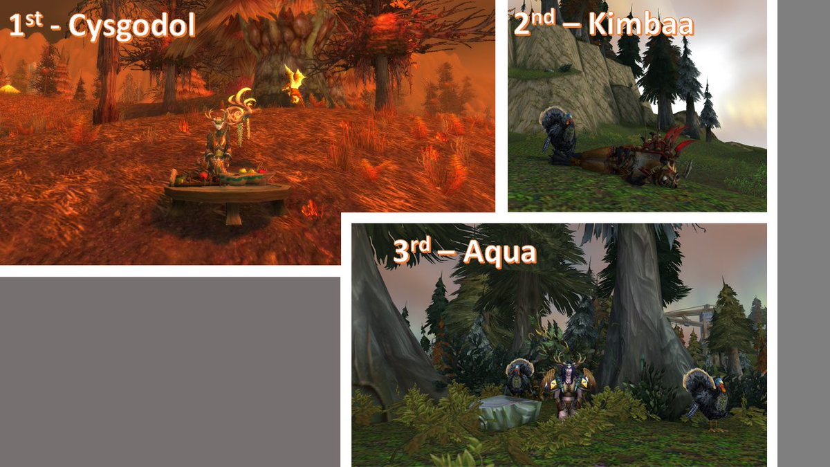 CultofElune's tweet photo. Congrats to our November transmog winners!! Cysgodol, Kimbaa, and Aqullasiaa (Aqua). #driud #alldruidguild #druidsofstromrage #transmog #transmogcontest #cultofelune https://t.co/8DyA53oyPx
