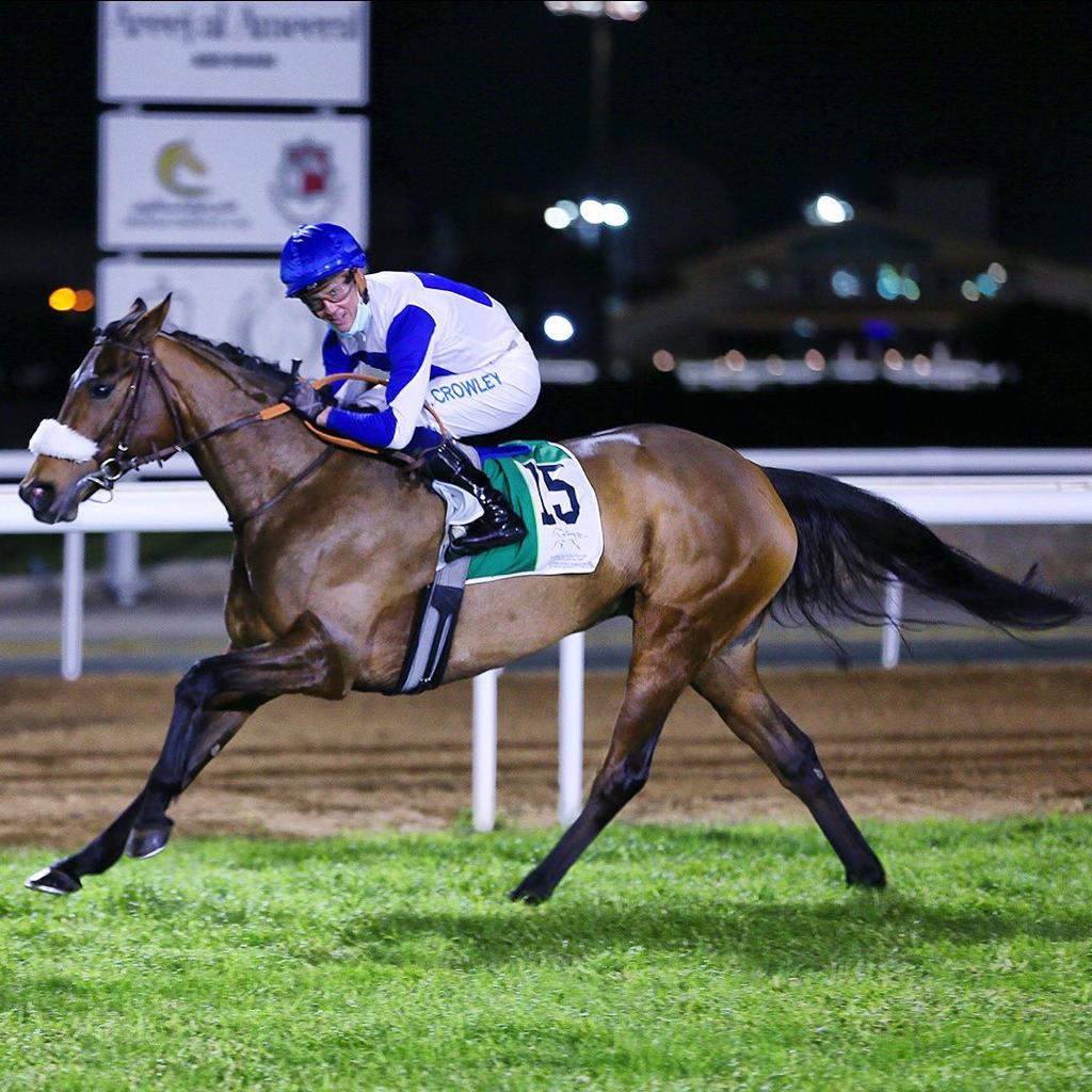 نادي قطر للسباق والفروسية tweet media