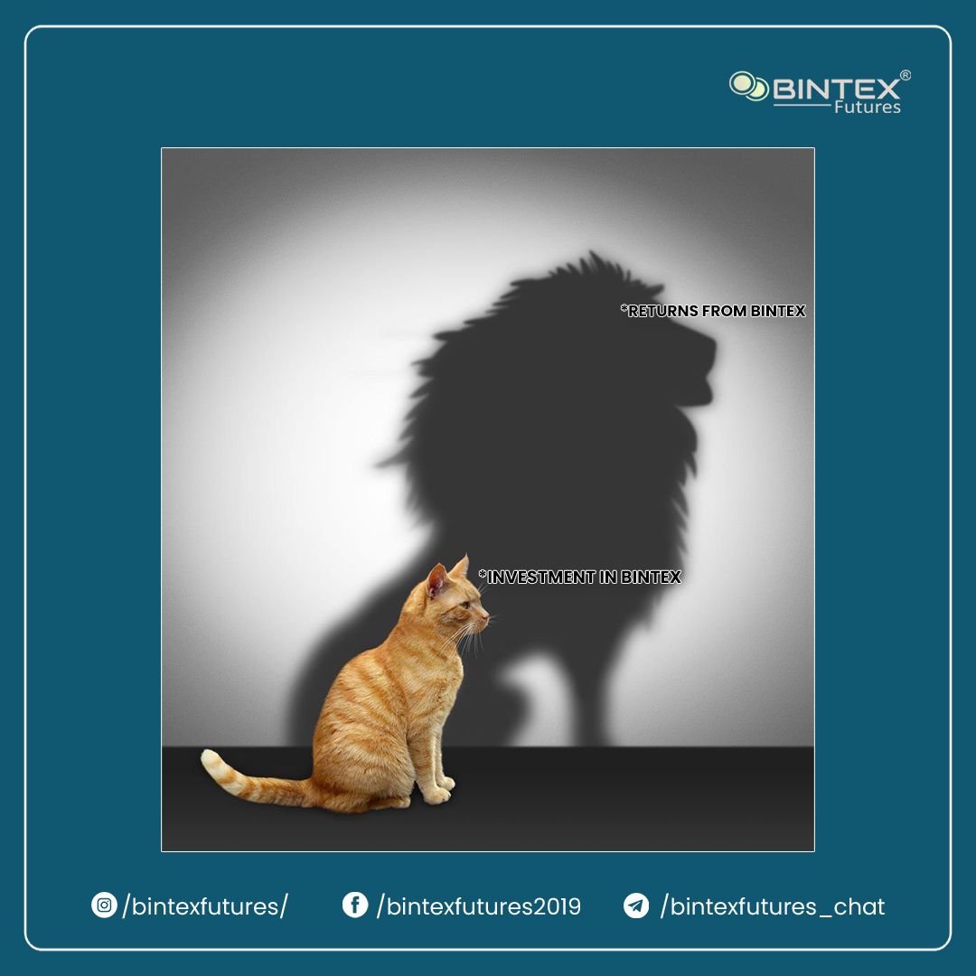 Bintexfutures's tweet photo. A little investment goes a long way.

#bintexfutures #bintex #cryptosecurity #stocks #cryptomeme #cryptomemes #cryptocurrencymemes #memes #memelover #memerlife #wallets #memeslove #funnypost #funnyposts #dailymemes #memesdaily #memedaily #memelife #memefunny #memesforeveryone https://t.co/EDMyPz3zDB