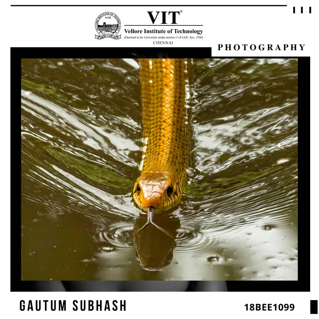 ChennaiVit's tweet photo. "All photographs are memento mori. Precisely by slicing out this moment and freezing it, all photographs testify to time’s relentless melt". - Susan Sontag
#sundaystudentsclicks #photographylovers #photoclicks📷 #studentphotographers #studentphotography #naturephotography #Photos https://t.co/z3Ia4n22Pq