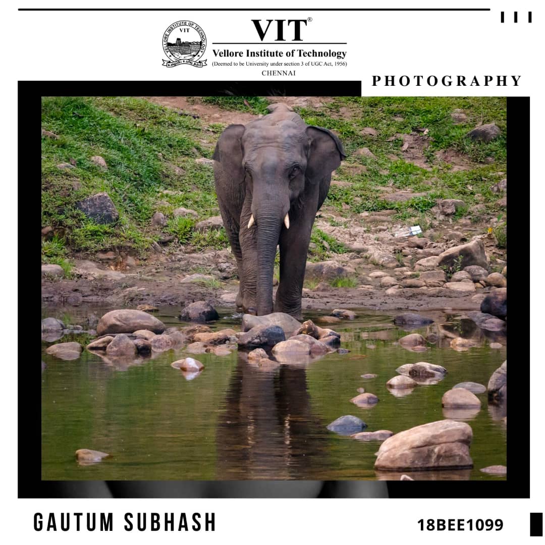 ChennaiVit's tweet photo. "All photographs are memento mori. Precisely by slicing out this moment and freezing it, all photographs testify to time’s relentless melt". - Susan Sontag
#sundaystudentsclicks #photographylovers #photoclicks📷 #studentphotographers #studentphotography #naturephotography #Photos https://t.co/z3Ia4n22Pq