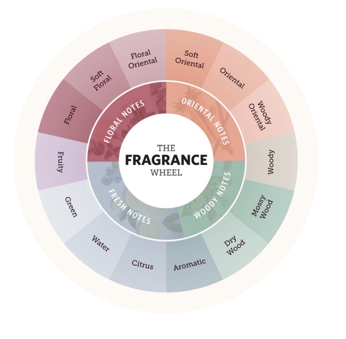 Sara Hopkins Ayala tweet media