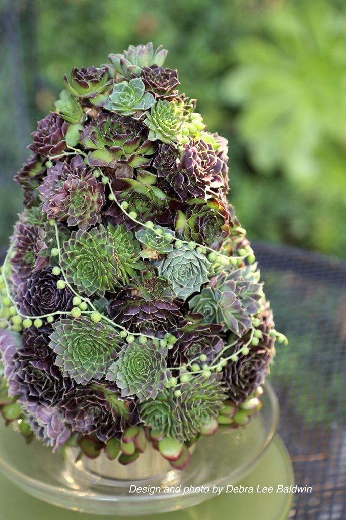 GardenDesignMag's tweet photo. What garden-inspired DIY's have you been working on lately?
In our recent newsletter, Linda shared a collection of #holidayDIY projects including 6 succulent designs from @DebraLBaldwin
See them all now https://t.co/FrD776avoj
#succulenttree #succulents #gardendiy https://t.co/u6mO6ncmJp