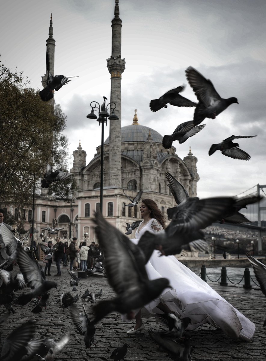 istanbulbirfoto's tweet photo. İstanbul
2021
Pandemi Günlükleri
#taskinmise
#istanbulbirfotograf
#turkey
#İstanbul https://t.co/Y8mqQEx8dx