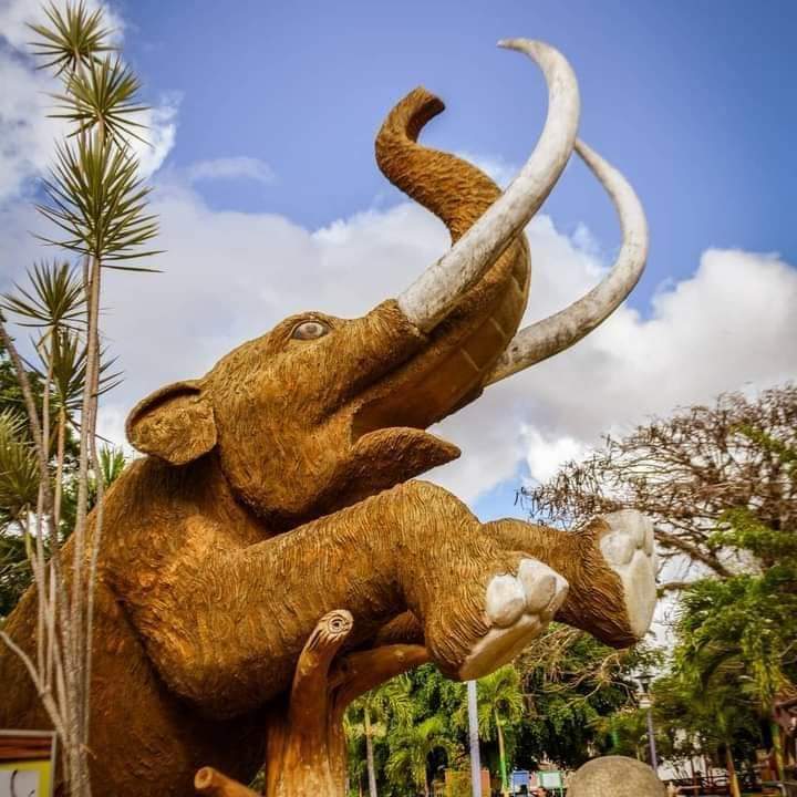 abelalexanderl2's tweet photo. Hermosas imágenes del Parque de Megafauna 🦣🦛ubicado en Pueblo Nuevo, Estelí. 

Ven y disfruta😊
#DiciembreEnPazYVictorias #LeónRevolución #PLOMO19 @DrSuazo915 @BERINGESQUIVEL @FelipeSCamposA @FITOMarencoJS @NicaSoberana https://t.co/qil1lUCjsS