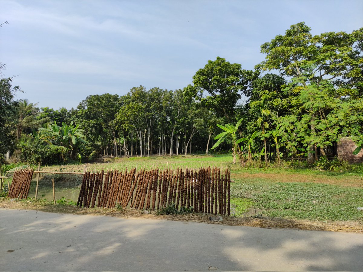 abak_fahim's tweet photo. #Bangladesh #nature #photography https://t.co/EbimuLYcZw