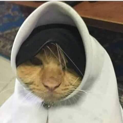 اللي بيعاني م حساسية الجيوب الأنفية ومبهدلاه يجي يضم هنا جنب اخته