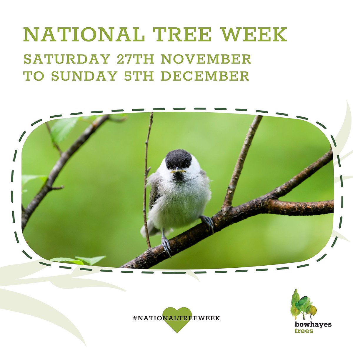 bowhayestrees's tweet image. Tree planting can do so much more than reducing carbon emissions; there are many other positive environmental impacts.

𝐒𝐡𝐨𝐩 𝐧𝐨𝐰: bit.ly/3FWRFpe

#nationaltreeweek #nationaltreeweek2021 #plantatree #plantatreetoday #plantatreemovement #plantatreesavetheplanet