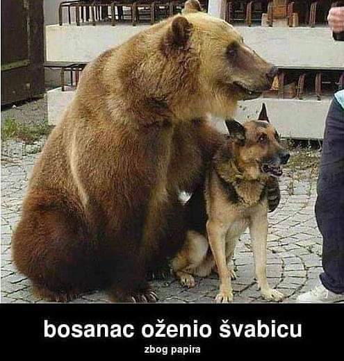 SlobodnoMilasi1's tweet photo. Nije interes nego iz Ljubavi 🤣🤣🤣🤣 https://t.co/kfxzccwaM0