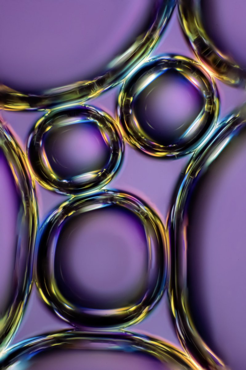 My Microscopic World tweet media