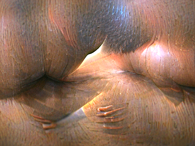ai_curio_bot's tweet photo. male buttcheeks jiggling in slow motions https://t.co/UDaPH0t2Im
