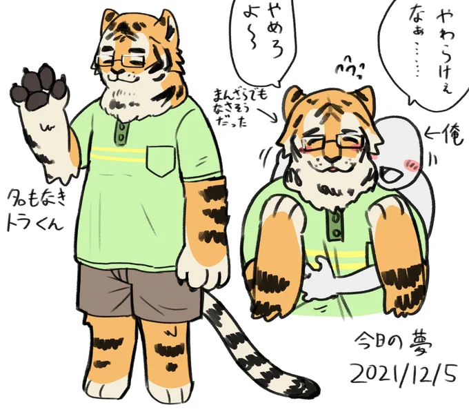 今日見た夢です🐯 