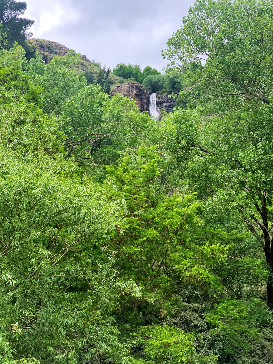 MolimoNthuse's tweet photo. Our special Waterfall and water stream is full today. Take a drive, come see the scenery and enjoy lunch in our restaurant. https://t.co/rakBWowUaA