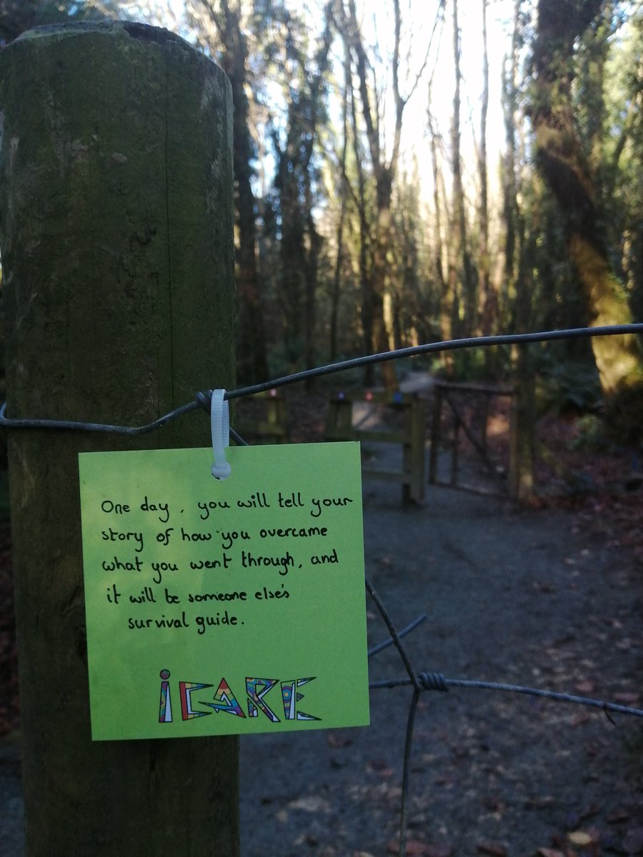 Michelle Dwyer tweet media