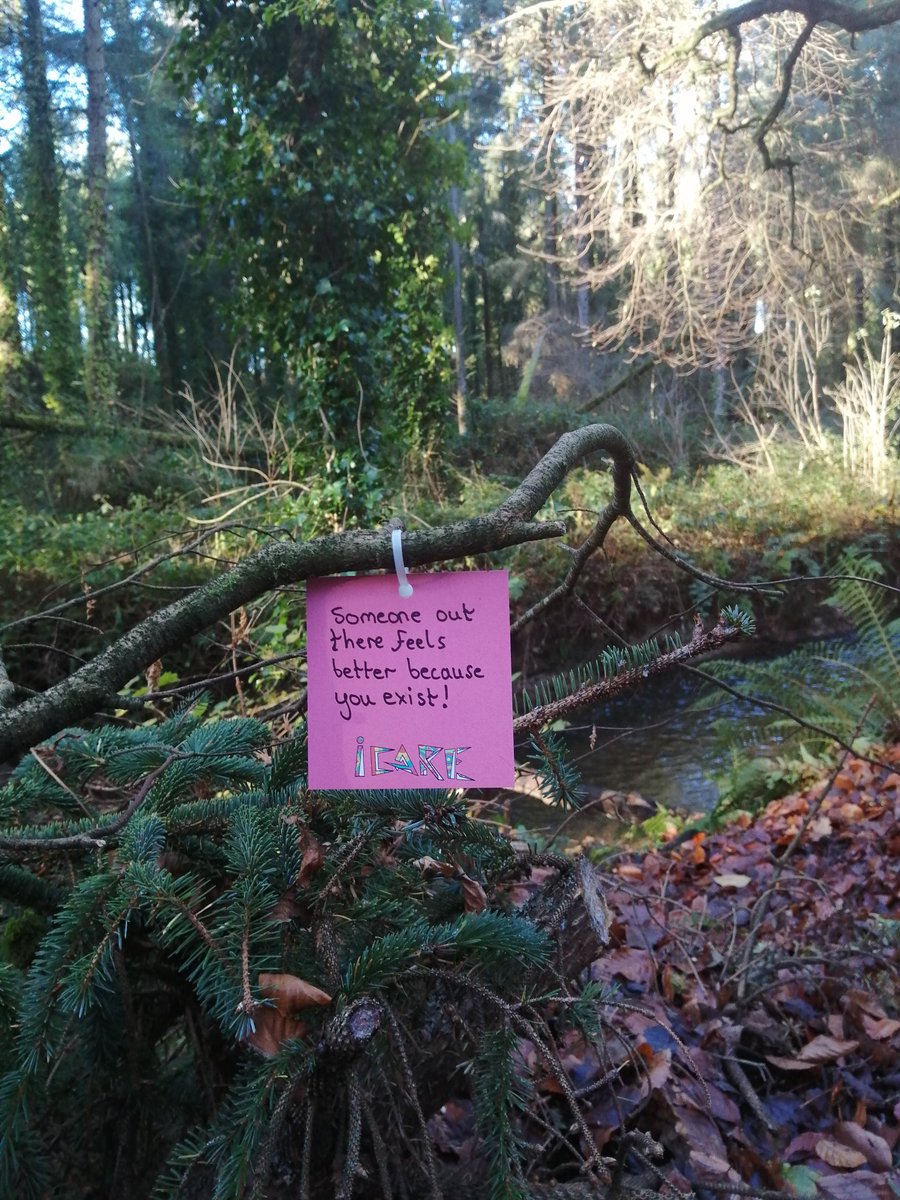 Michelle Dwyer tweet media