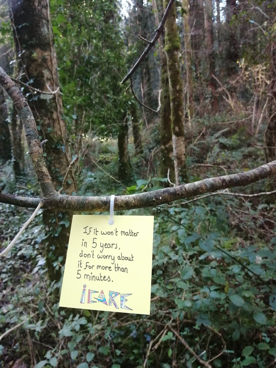 Michelle Dwyer tweet media